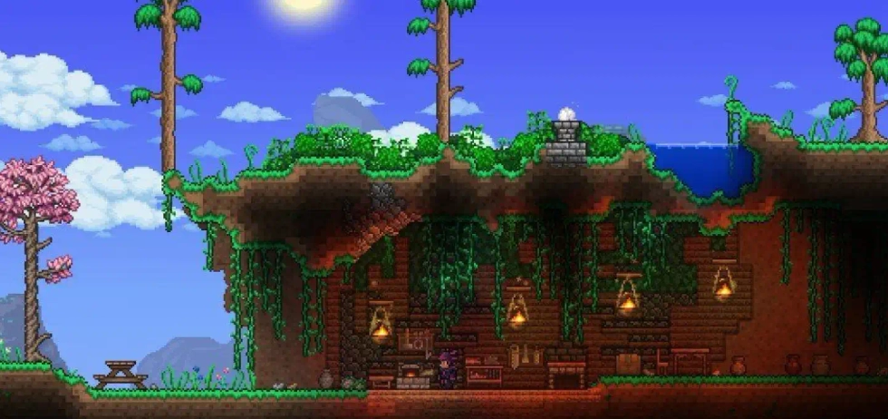 Terraria landscape