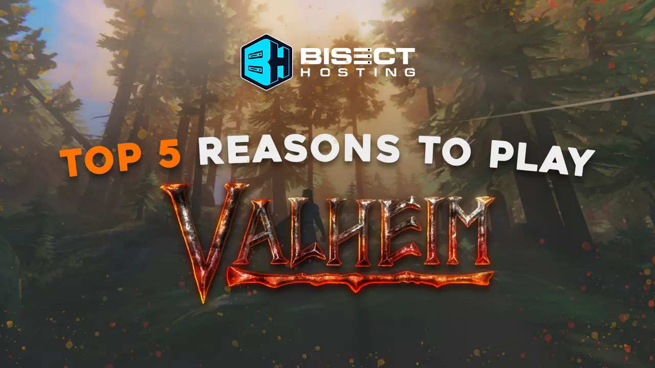 Top 5 Reasons to Play Valheim