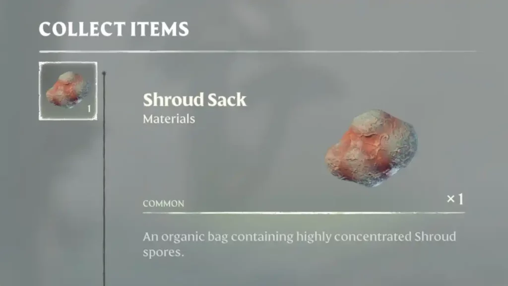 Enshrouded Shroud Sack