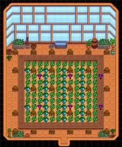 Stardew Valley Best Greenhouse Layout 1