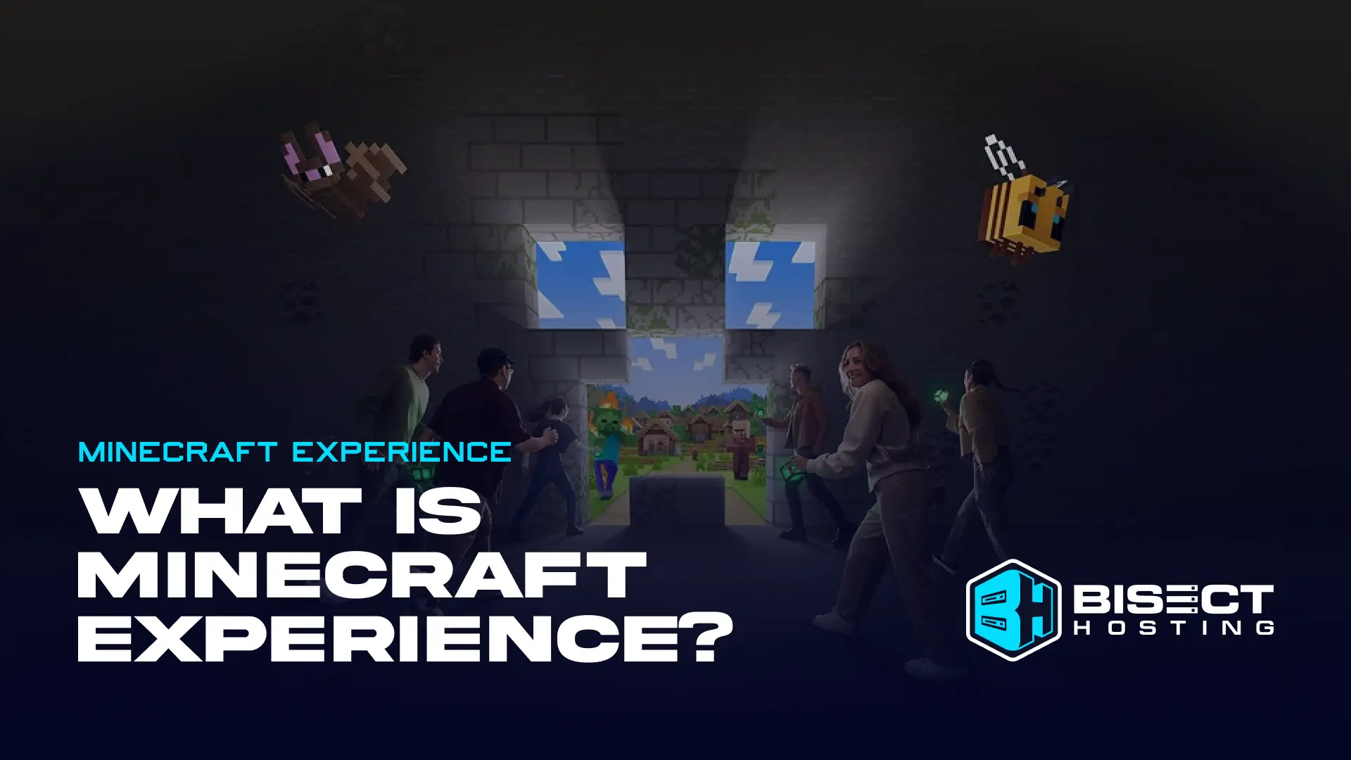 What is Minecraft Experience: Villager Rescue?