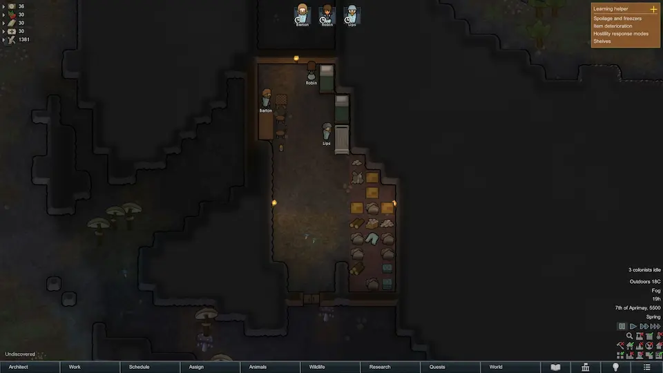 Rimworld Beginner’s Guide: Cave Base Furnished Screenshot