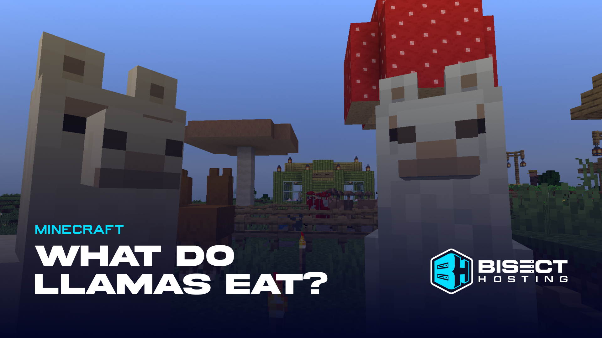 What Do Llamas Eat in Minecraft?