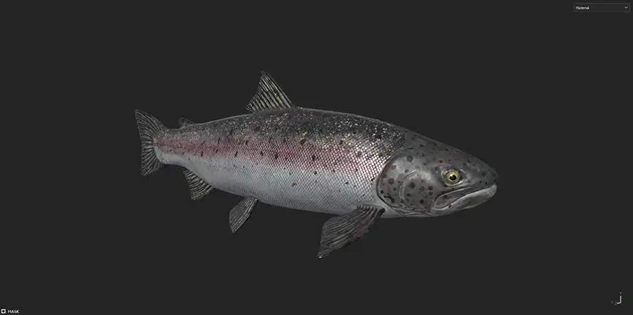 DayZ Frostline Fish