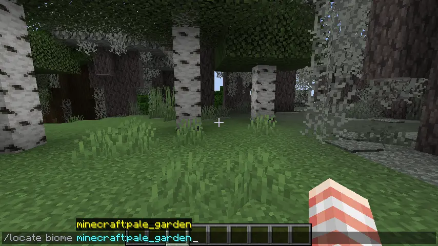 Minecraft Locate Biome Command Screenshot