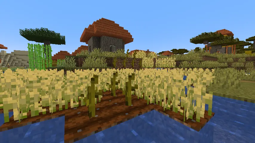 Minecraft Melon Stem Screenshot