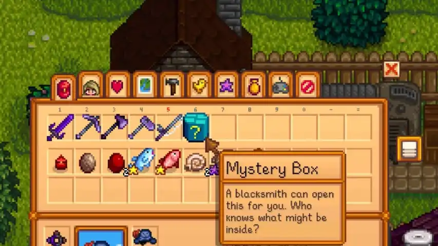 Stardew Valley Mystery Box