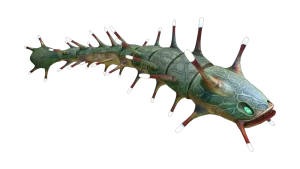 Subnautica Ampeel