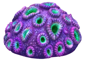 Subnautica Brain Coral