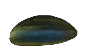 Subnautica Coral Shell Plate