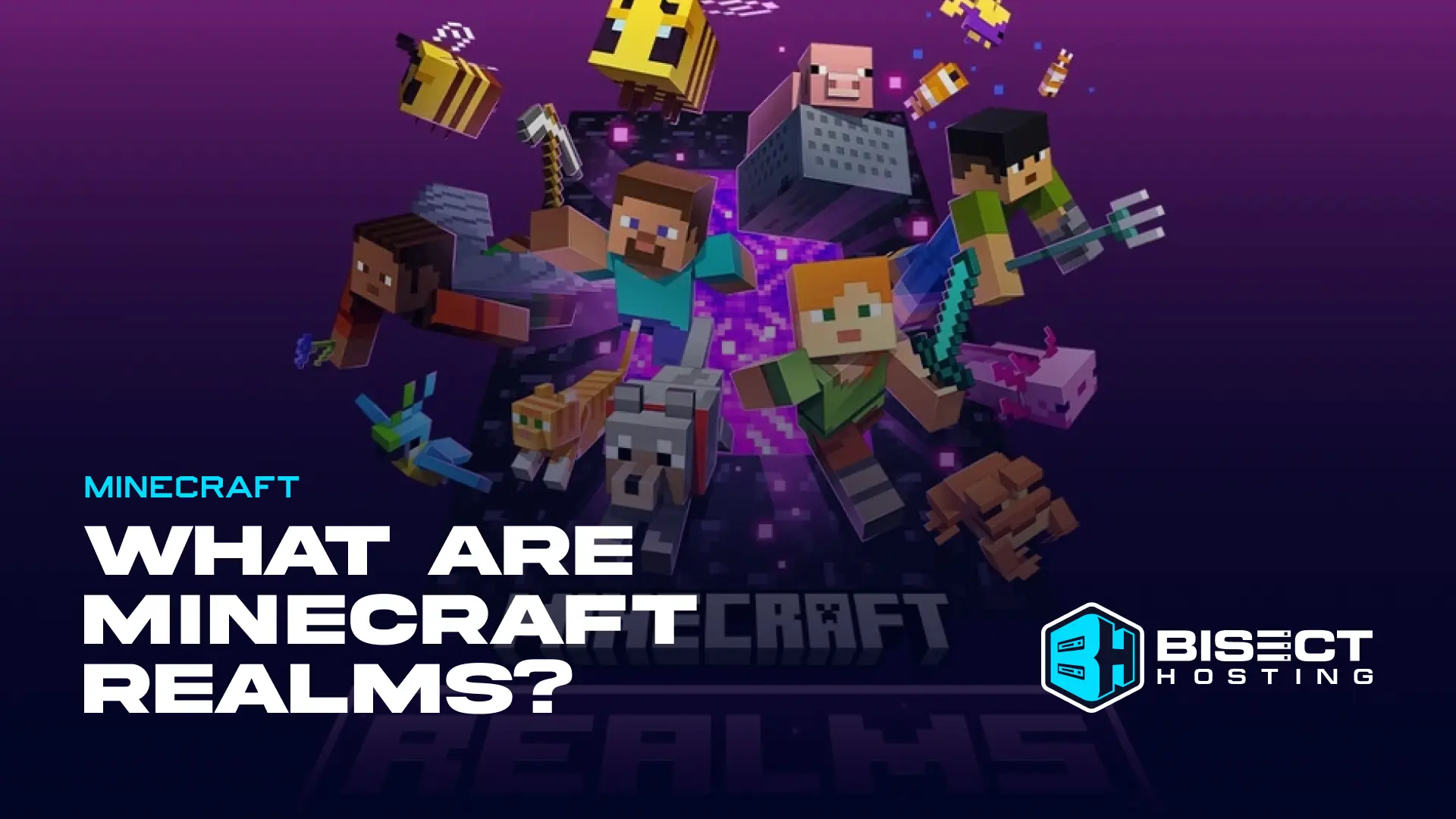 What Are Minecraft Realms?