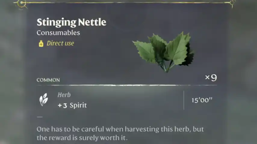 Enshrouded Stinging Nettle Use