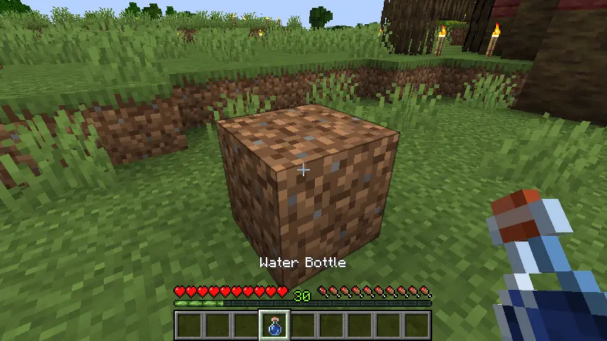 How to Make Mud in Minecraft: Water Bottle On Mud Screenshot