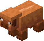 Minecraft Pig Variants: Warm Pig