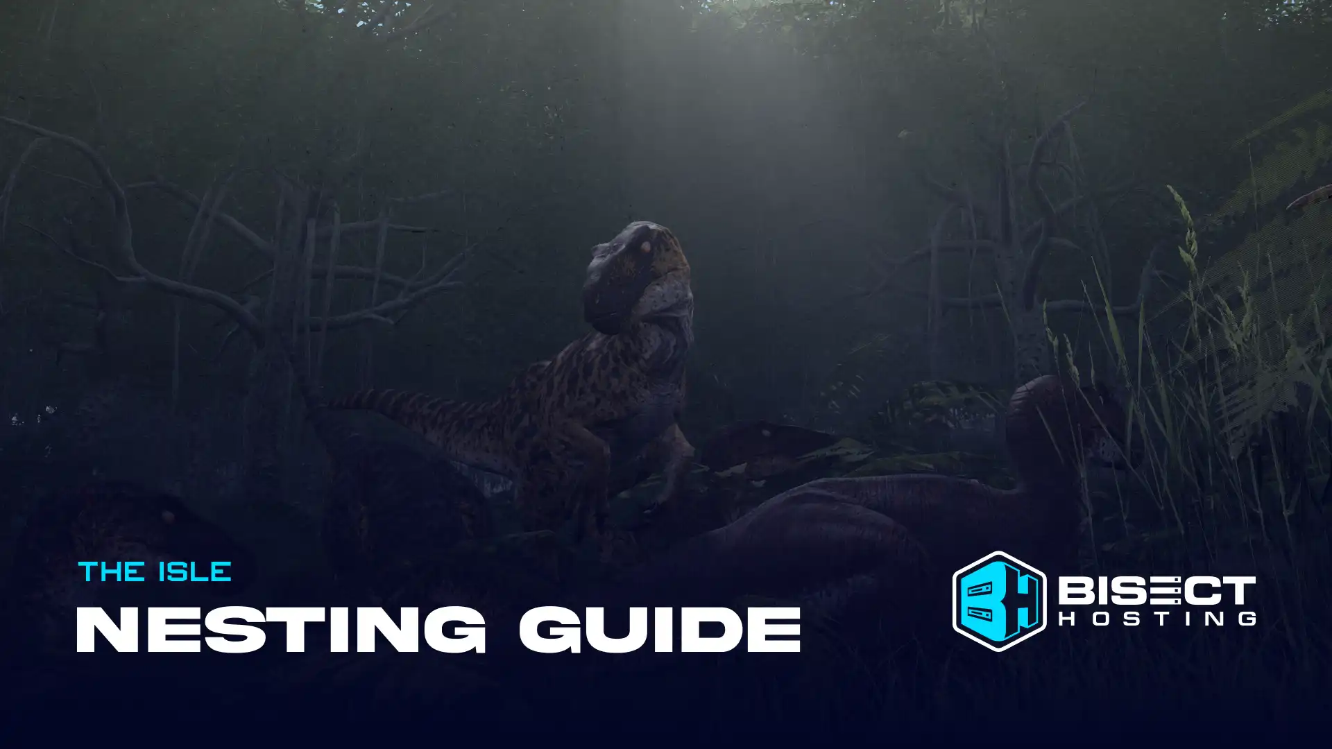 The Isle Nesting Guide: Courting, How to Feed Babies, & More