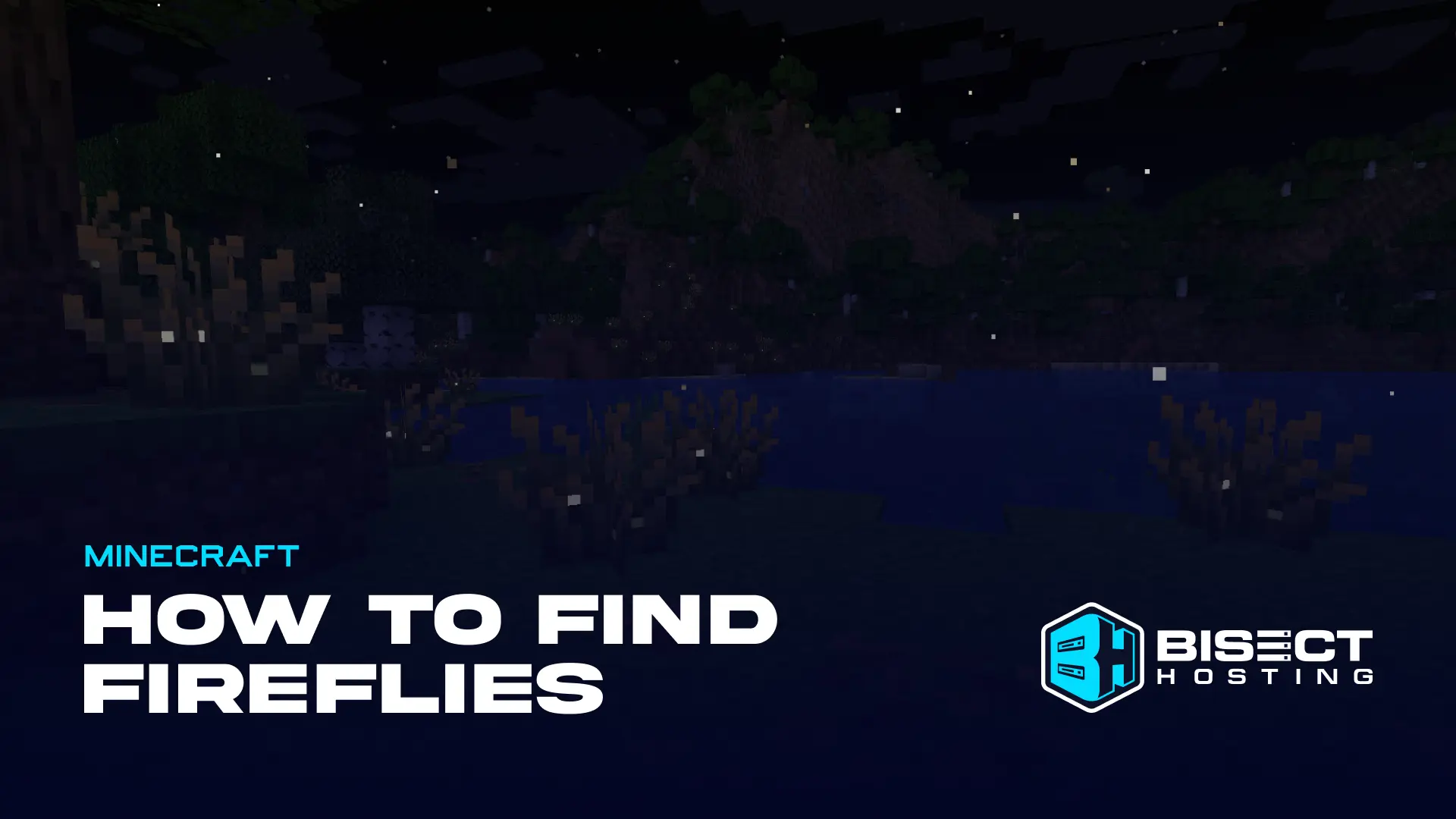 How to Find Minecraft Fireflies