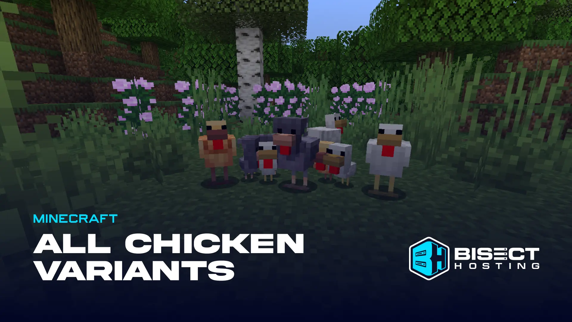 All Minecraft Chicken Variants in 1.21.5