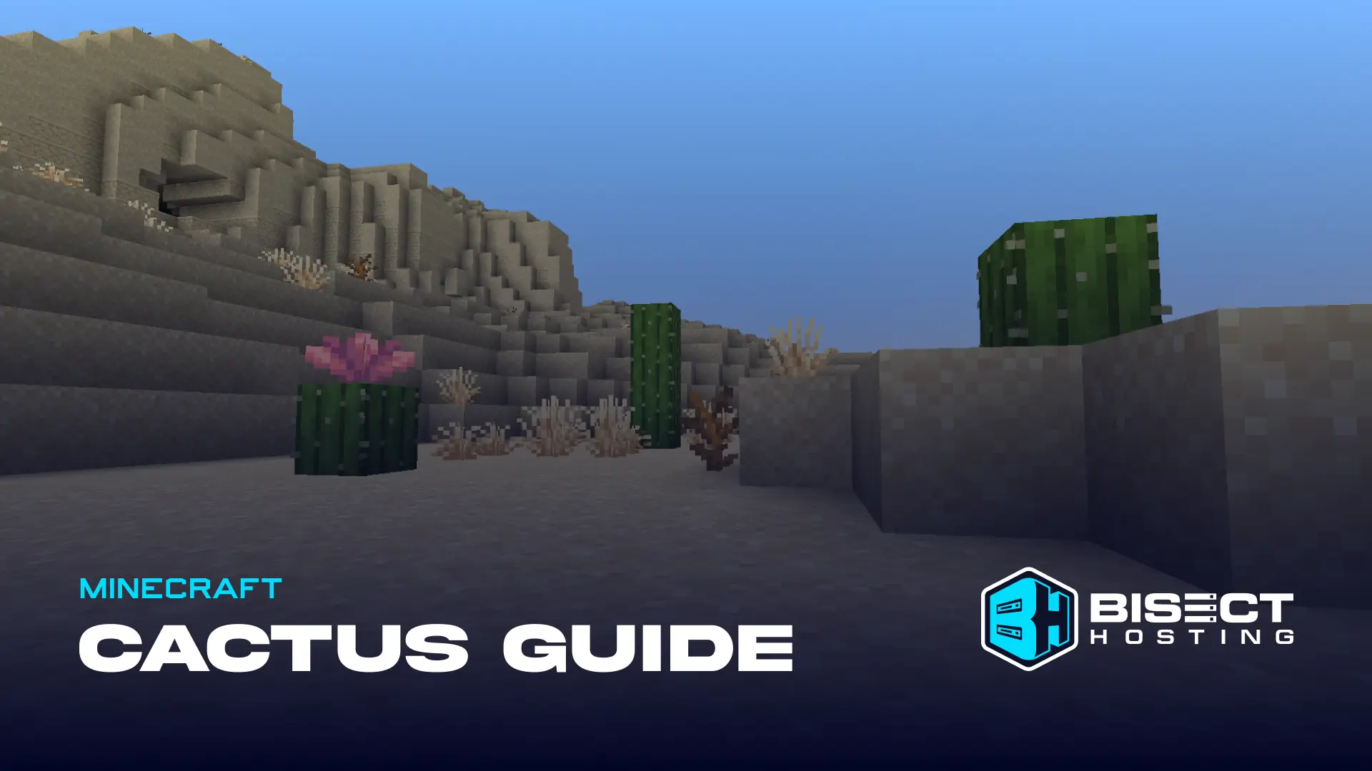 Minecraft Cactus Guide: Cactus Flower, Biomes, &amp; More