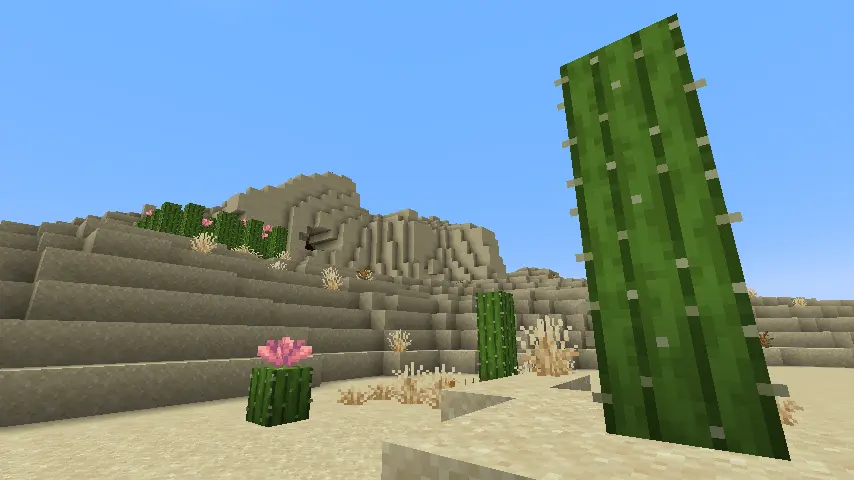 Minecraft Cactus in Desert Biome Screenshot