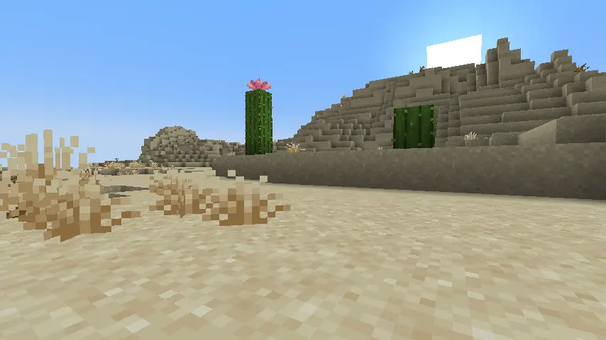 Minecraft Desert Biome Screenshot