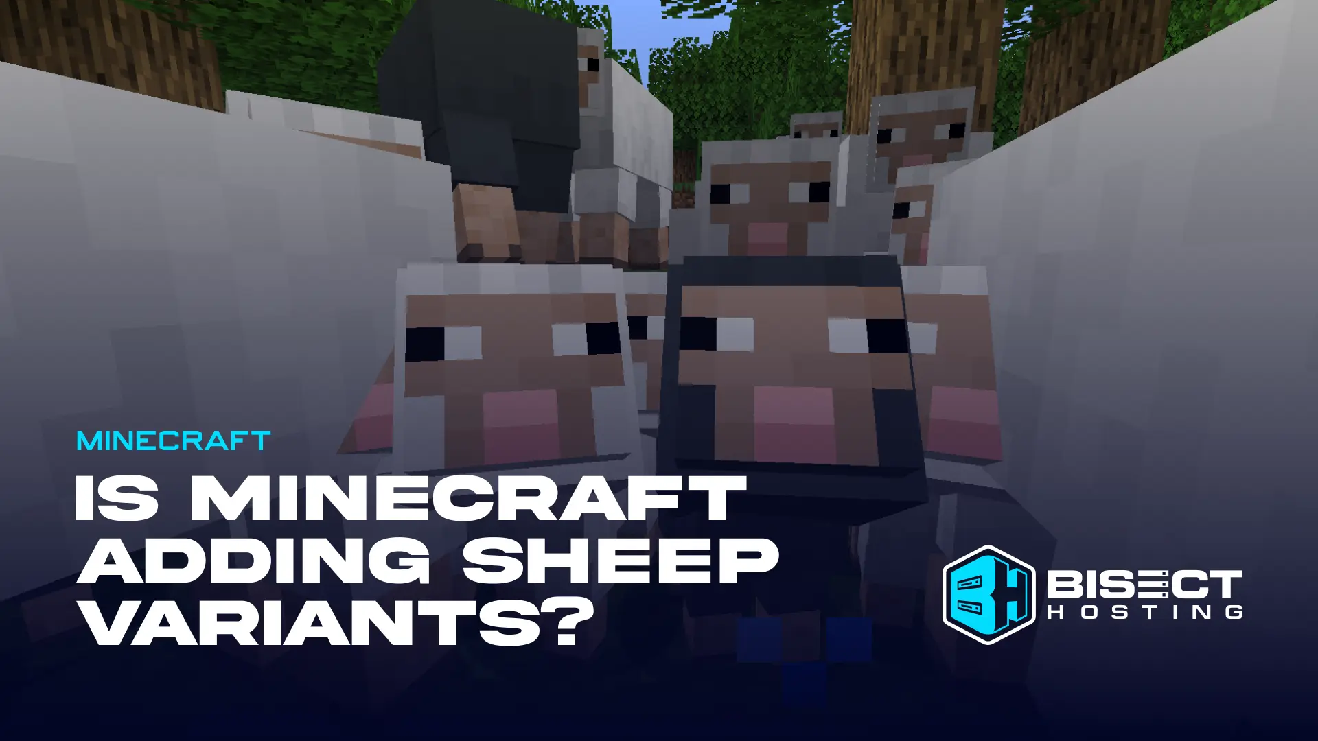 Is Minecraft Adding Sheep Variants?