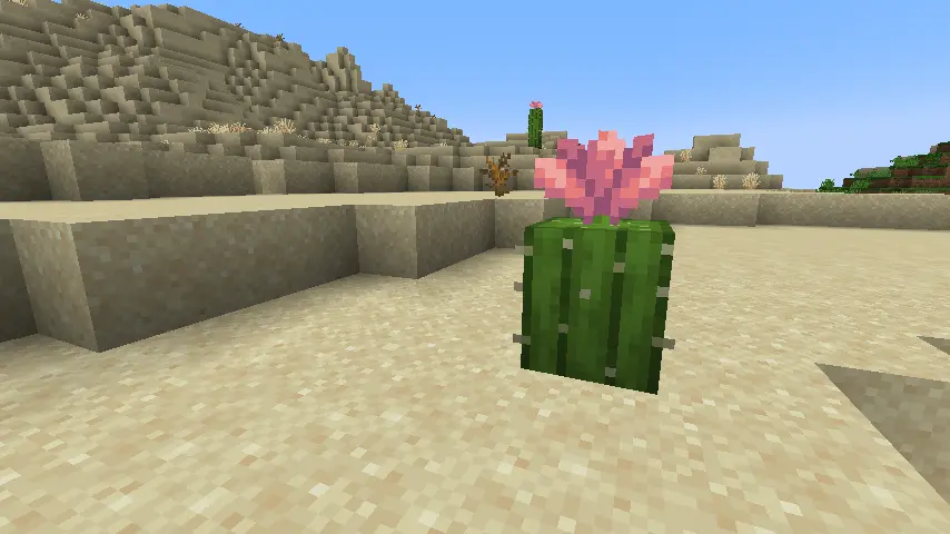 Minecraft Small Cactus & Cactus Flower Screenshot