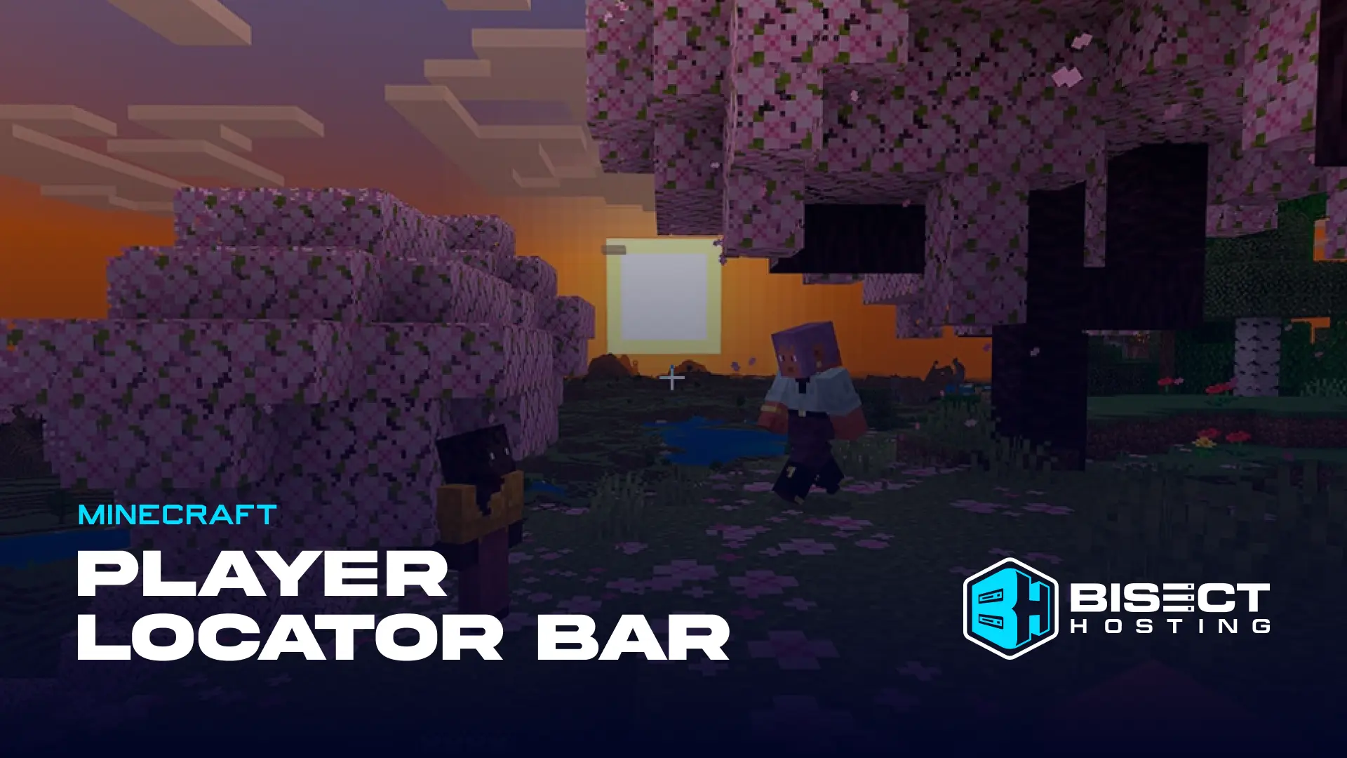 Minecraft Player Locator Bar: How to Hide & Server Options